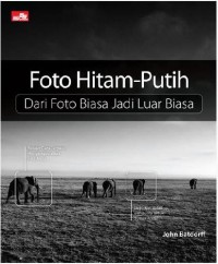 Foto hitam-putih dari foto biasa jadi luar biasa